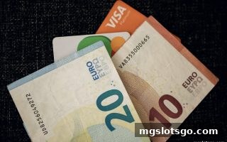 mg电子平台USDT提现审核完全指南：材料清单与高效通过技巧