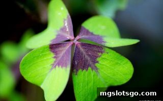 mg电子幸运飞艇全解析：规则查询、开奖走势与娱乐策略
