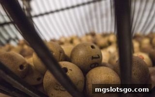 mg电子平台必读：龙虎和与大小玩法的概率真相与理性参与指南