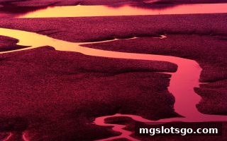 mg电子彩票选号心理学：如何避开认知偏差，理性享受游戏乐趣