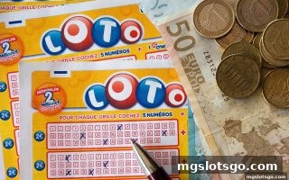 mg电子解析 | 让球策略与金融投资：跨越领域的思维共振
