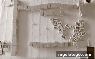 mg电子平台飞禽走兽与牛牛玩法全攻略：押注逻辑与资金管理技巧