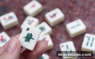 mg电子牛牛游戏深度攻略：掌握翻倍机制，决胜极速赛车