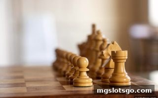 mg电子双色球麻将实战攻略：战术部署与资金管控