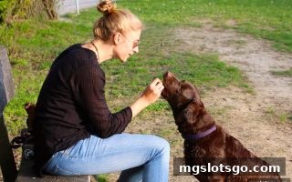 mg电子新手签到红包领取与使用完全攻略