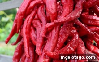 mg电子平台洗码返佣与亏损补贴攻略：如何玩转双重回馈？
