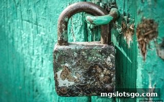 mg电子平台安全警示：滚球互动中个人信息防护全指南