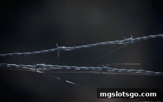 mg电子平台北京赛车排雷五大误区：理性认知助你避开陷阱