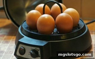 mg电子免费旋转激励策略：用户动机解读与合规运营深度剖析