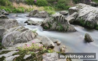 mg电子深度解析：足球赛事未来赛程预测的系统思维与实战技巧
